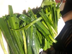 韭菜-汉城烧烤(西稍门劳动路店)