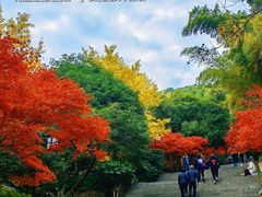-岳麓山风景名胜区