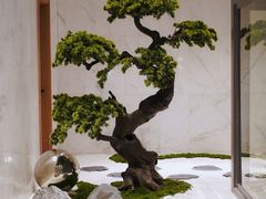 -南美水疗(七莘路店)