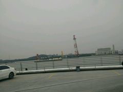 -吴淞口国际邮轮码头-停车场