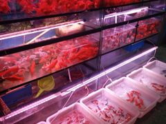 -宝鸡东道花鸟鱼虫市场(吉利花园商场店)