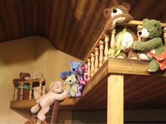 -济州岛泰迪熊博物馆