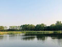 -永定河休闲森林公园