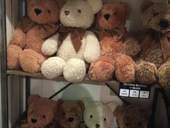 -济州岛泰迪熊博物馆