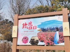 -海上花岛玫瑰园采摘