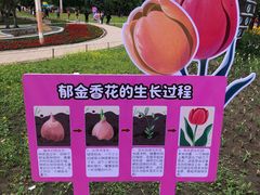 -长春公园(普阳街道)