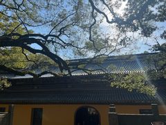 -普陀山风景名胜区-法雨禅寺