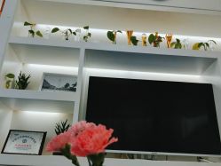 -蕾特恩专业祛痘·皮肤管理