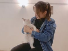 -猫友咖啡店(玉林西路店)