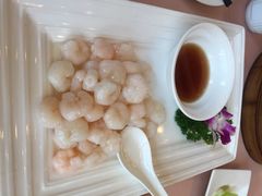 上海杏花楼集团五芳斋点心店(云南南路店)-五芳齋(云南南路店)