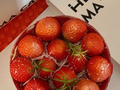 -Dark Horse·黑马蛋糕·低脂·低糖淡奶(金匙望湖大厦店)