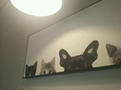 -吃饼人西餐(南开店)