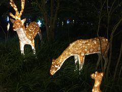 -杭州第一世界大酒店·云曼温泉