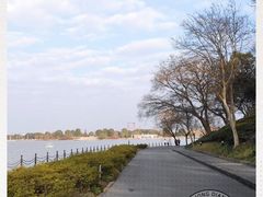 -上海月湖雕塑公园