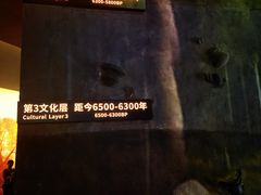 -河姆渡遗址博物馆