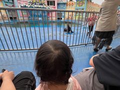 -华夏文旅西安度假区