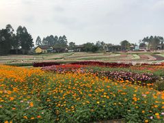 -保利石象湖景区