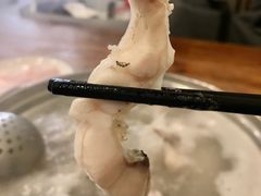 脆肉鲩鱼腩-正能量脆肉鲩火锅