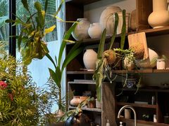 -自由生长植物工作室(深港花卉中心店)
