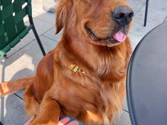 -星巴克(成都凯德天府店)