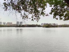 -食膳公园包子铺(烈士公园店)