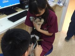 -芭比堂动物医院·24小时·眼科中心(深圳中心)
