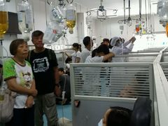 -上海中医药大学附属曙光医院(东部)