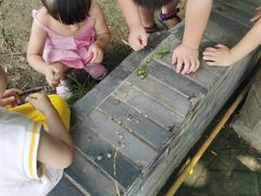 -老茶树骊园生态川菜馆