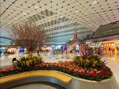 -香港国际机场-T2航站楼