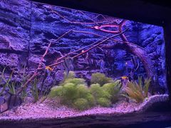 -上海海洋水族馆