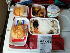 -海南海航航空信息系统公司