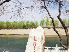 -桃花堤公园