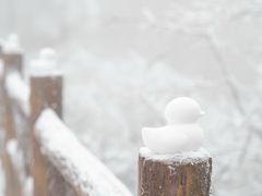 -瓦屋山景区