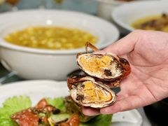 -望乡楼上海菜(日月光店)