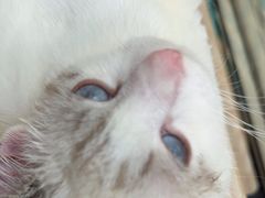 -暖阳宠物医院·犬猫康复中心·骨科