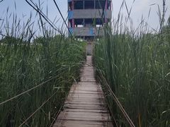 -河北村民俗体验园