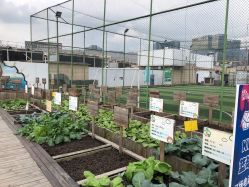 -梦田都市农场(银泰城店)