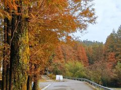 -山王坪喀斯特国家生态公园