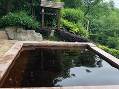 -天目湖涵田半山温泉