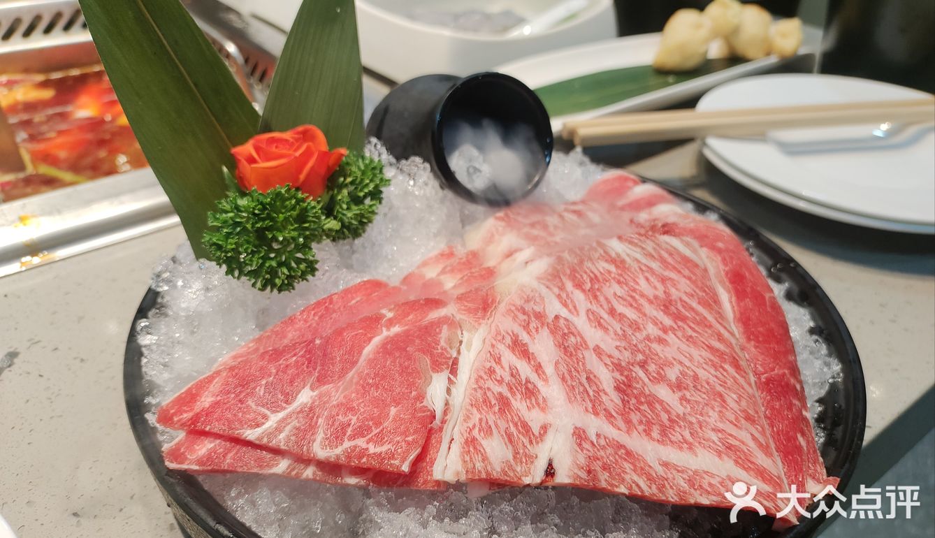 别捞了，直接住海底吧❗️