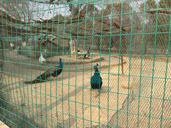 -武汉紫薇都市田园