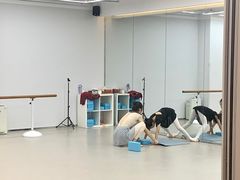 -红舞鞋舞蹈教育(近江校区)