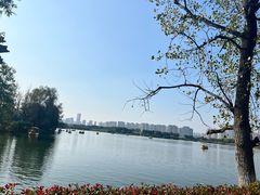 -洋湖国家湿地公园