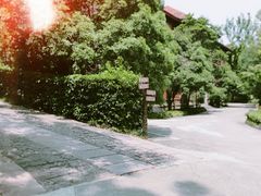 -之江大学-旧址
