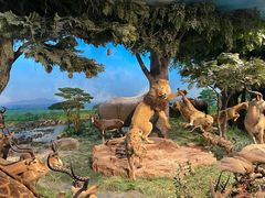 -国家自然博物馆