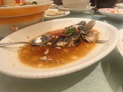 -金美华轩(东方路齐鲁店)