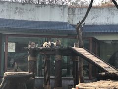 -南昌动物园