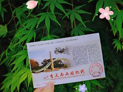 -南山植物园