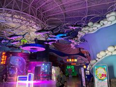 -烟台海昌鲸鲨海洋公园