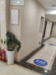 -碧莲盛·不剃发植发